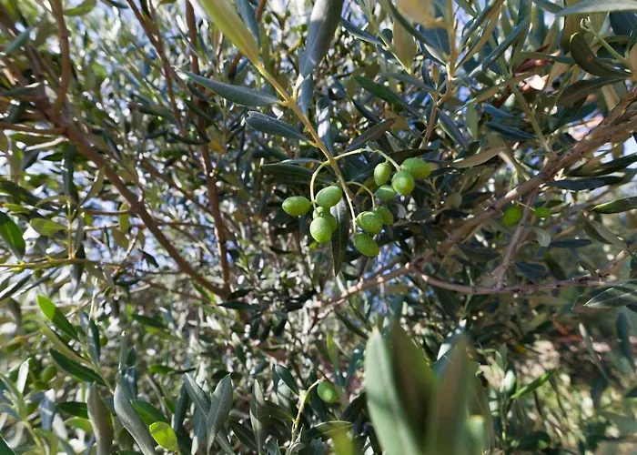 4 Fortresses * Šibenik